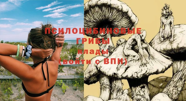марки lsd Алексеевка
