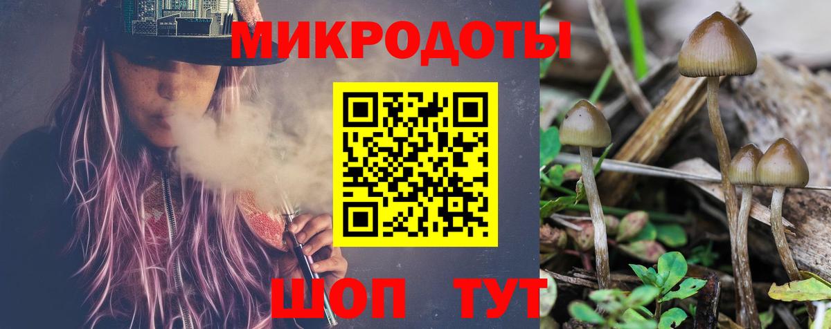 Псилоцибиновые грибы Magic Shrooms  Галлюциногенные грибы мицелий  Димитровград  даркнет сайт  Вход с VPN 